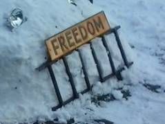 Freedom My Ass